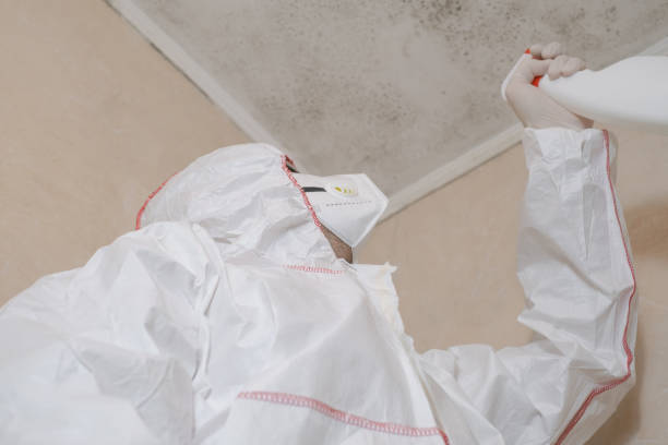 Best Certified Mold Removal  in Cuba City, WI