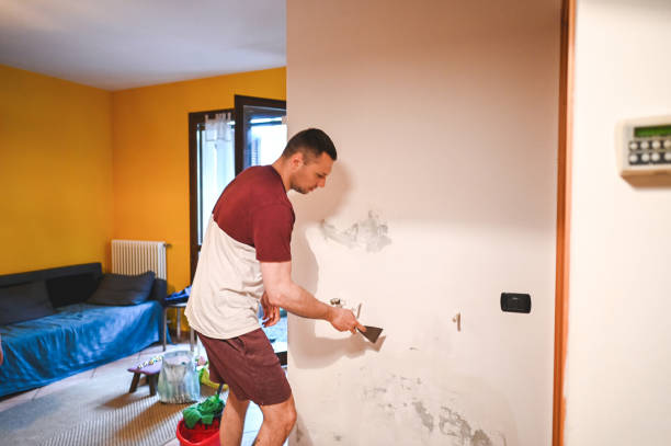 Best Black Mold Removal  in Cuba City, WI